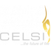 Celsi Fires logo