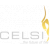 Logo for Celsi Fires