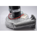 TE0305 Motor Assy, (Burner), Trane <!DOCTYPE html>
<html lang=\"en\">
<head>
<meta charset=\"UTF-8\">
<title>Product Description</title>
</head>
<body>

<h1>Motor Assy (Burner) for Trane Systems</h1>
<p>The Motor Assy (Burner) is a replacement part designed specifically for Trane heating systems. This motor is an essential component for ensuring the efficient operation of your furnace\'s burner unit.</p>

<ul>
<li>Compatible with select Trane furnace models</li>
<li>High-grade construction for reliability and durability</li>
<li>Engineered to provide efficient fuel and air mixture to the burner</li>
<li>Easy to install with a user-friendly setup</li>
<li>Ensures quiet operation and energy efficiency</li>
<li>Backed by manufacturer\'s warranty for peace of mind</li>
</ul>

</body>
</html> 